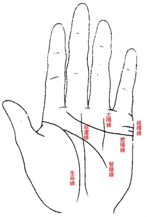 生命線旁邊多一條|手掌紋中「生命線」會出現的7種情況及所對應的命理